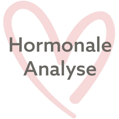 Hormonale Analyse